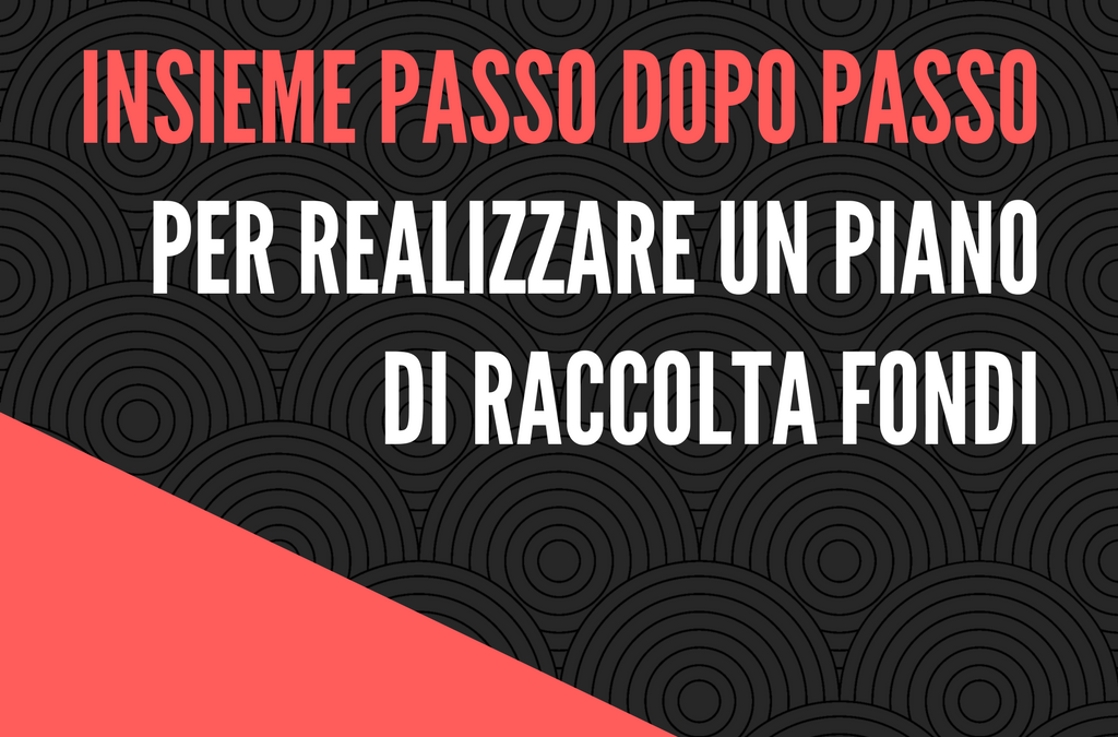 Insieme passo dopo passo per realizzare un piano di raccolta fondi