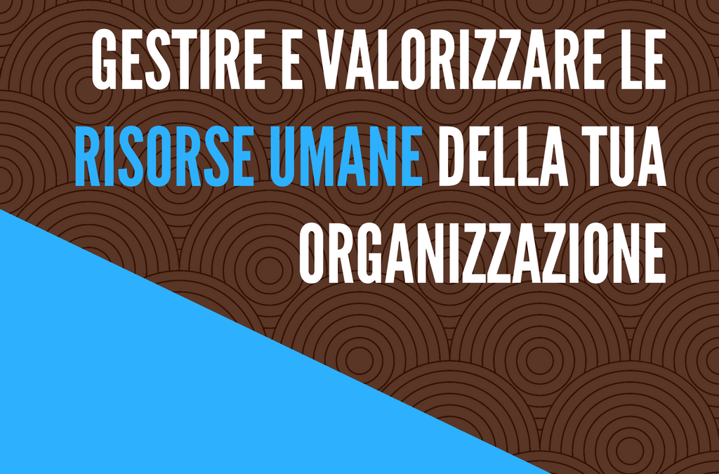 Valorizzare le risorse umane della tua organizzazione